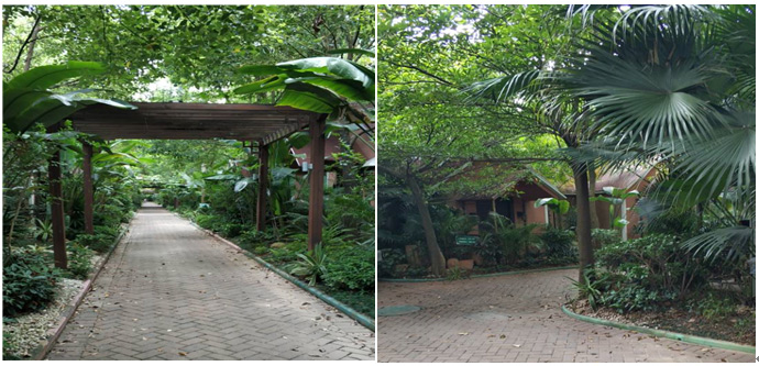 健思研科技夏季休閑游活動